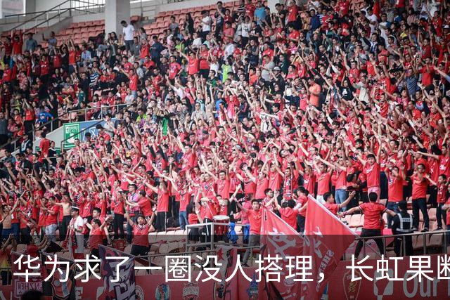华为求了一圈没人搭理,长虹果断接盘