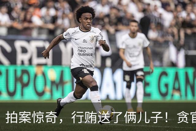 拍案惊奇，行贿送了俩儿子！贪官代孕得子7天落马，有些人的辫子长在心里。